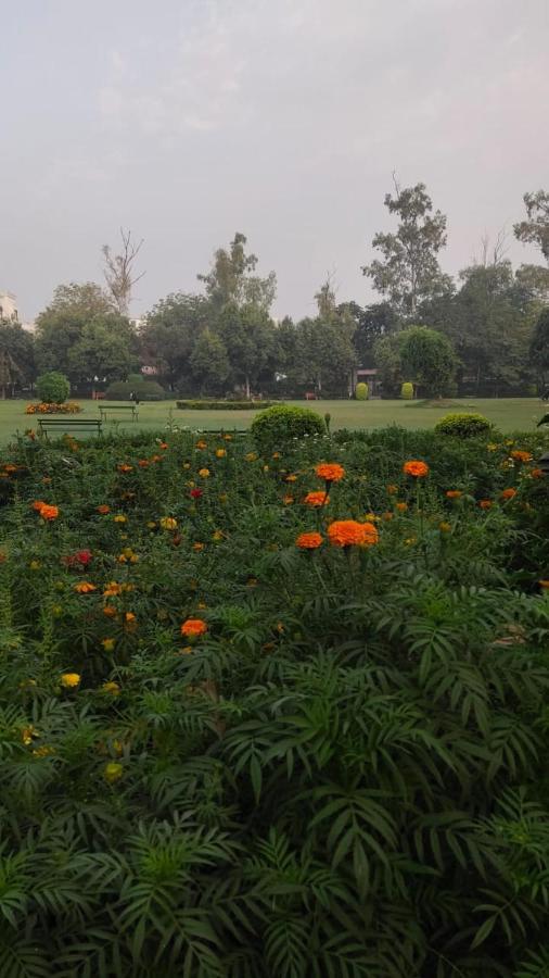 Maplewood Guest House, Neeti Bagh, New Delhiit Is A Boutiqu Guest House - Room 5 Exteriör bild