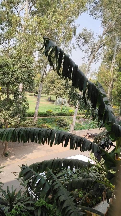 Maplewood Guest House, Neeti Bagh, New Delhiit Is A Boutiqu Guest House - Room 5 Exteriör bild